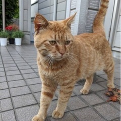 優しい一歳の男の子