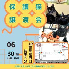 つるみ・猫のカギしっぽ譲渡会6月30日　 JR鶴見駅西口から徒歩...