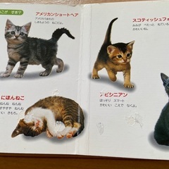 絵本5冊の画像