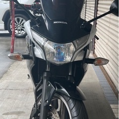 HONDA CBR250R MC41後期の画像