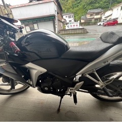 HONDA CBR250R MC41後期の画像