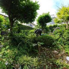 【草毟り】広いお庭のメンテナンス作業行ってきました。