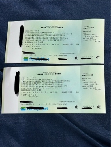 モンバス2024 チケット8/25 2枚