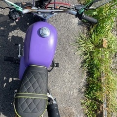 モンキー　　の画像