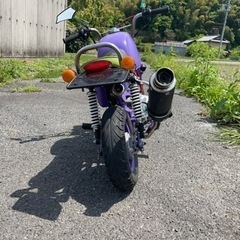 モンキー　　の画像