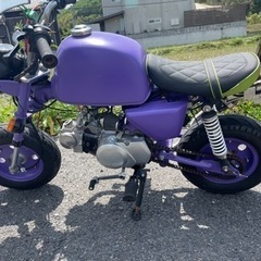 モンキー　　の画像
