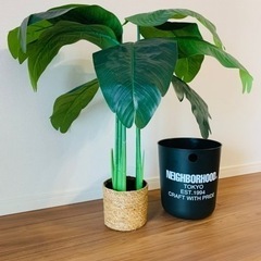 🪴造花　　観葉植物🪴