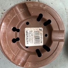 【無料】受け皿つき植木鉢（小）の画像