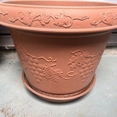 【無料】受け皿つき植木鉢（大）の画像
