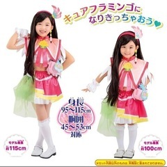 【新品】トロピカル〜ジュ！プリキュア 変身プリチューム アクセサリーセット　キュアフラミンゴ の画像