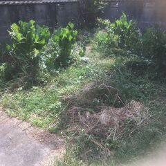 【取引中】畑の土　差し上げます