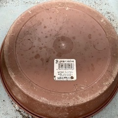 【無料】受け皿つき植木鉢（大）の画像