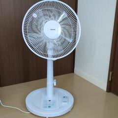 家電 季節、空調家電 扇風機