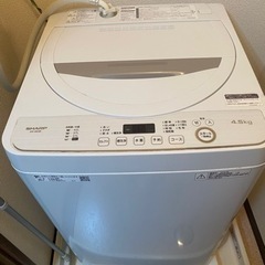 家電 生活家電 洗濯機