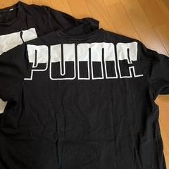 服/ファッション Tシャツ メンズの画像