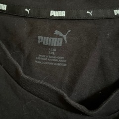 服/ファッション Tシャツ メンズの画像