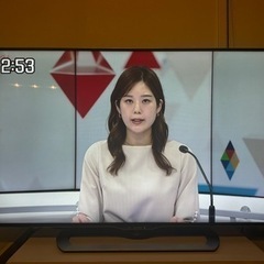 家電 テレビ 液晶テレビ