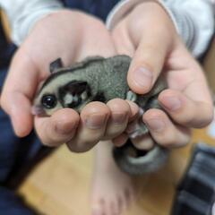 飼い主さん見つかりました。