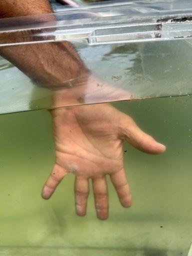 決まりました180
アクリル水槽