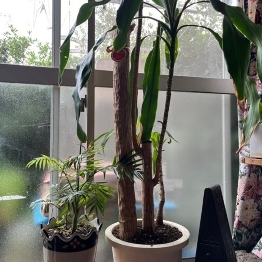 生活雑貨 家庭用品 ガーデニング