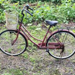 自転車