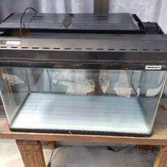 観賞魚用水槽（ニッソー75cm巾）