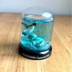 旭山動物園　スノードームと置き物 ４点セットの画像