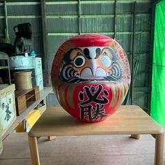 必勝ダルマ62x50x64センチ