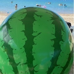 BBQ 海水浴オフ会