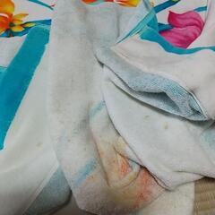 掛け、敷き両用花柄タオルケットの画像