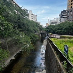 ぽっちゃりさんと仲良く