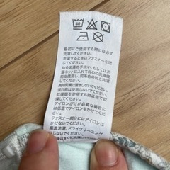 ねくるみ Sサイズ
の画像
