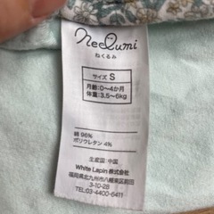 ねくるみ Sサイズ
の画像