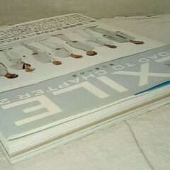 ☆Exile road to chapter 2 : 第二章への道 の画像