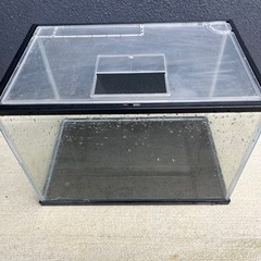 (取引中)ガラス水槽※値引きしましたの画像
