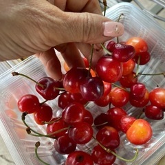 さくらんぼ紅秀峰　食品