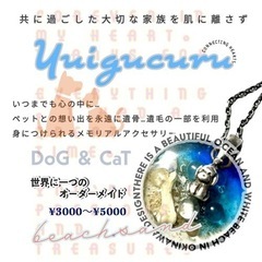 服/ファッション アクセサリー ネックレス