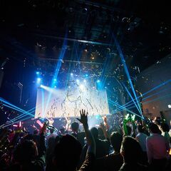 女性アイドルの運営の手伝い急募