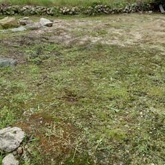 草刈り、草引きお手伝いします。 - 西条市