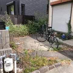 片付け　助手　の画像