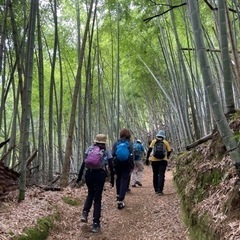 2024年7月28日(日) 京都高雄〜清滝へハイキング💚一緒に行きませんか💕 - 京都市