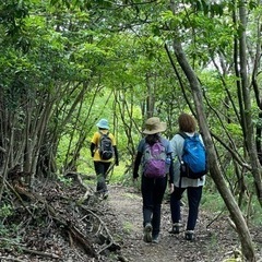 2024年7月28日(日) 京都高雄〜清滝へハイキング💚一緒に行きませんか💕 − 京都府