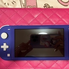 おもちゃ ポータブルゲーム ニンテンドーDS,3DSの画像