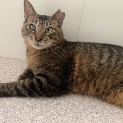 おっとり穏やか！甘えん坊さかなくん