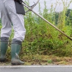 草刈り　剪定行います。
