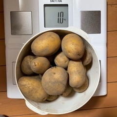 ジャガイモ　インカの目覚め　キロ200円農薬不使用