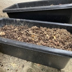 生活雑貨 家庭用品 ガーデニングの画像