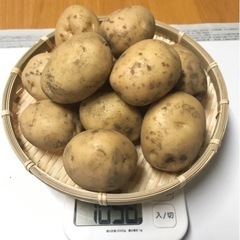 (取引中)じゃがいも｢男爵｣ 1kgほどを200円