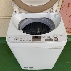 家電 生活家電 洗濯機