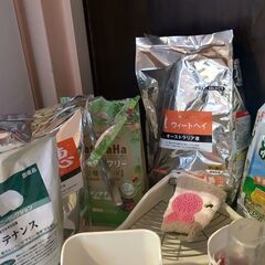 うさぎ用品　まとめての画像